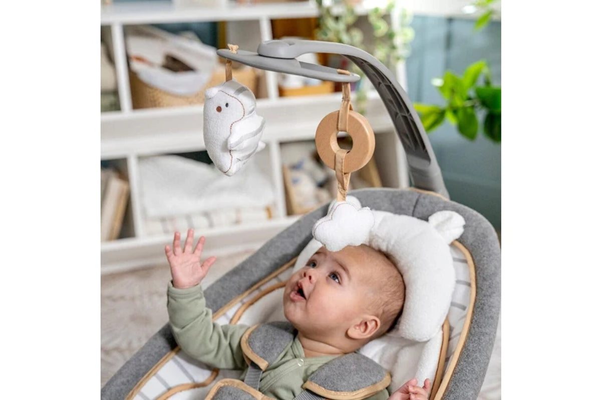Ingenuity Boutique Collection Premium Newborn Rocking Seat Bella Teddy 0m+