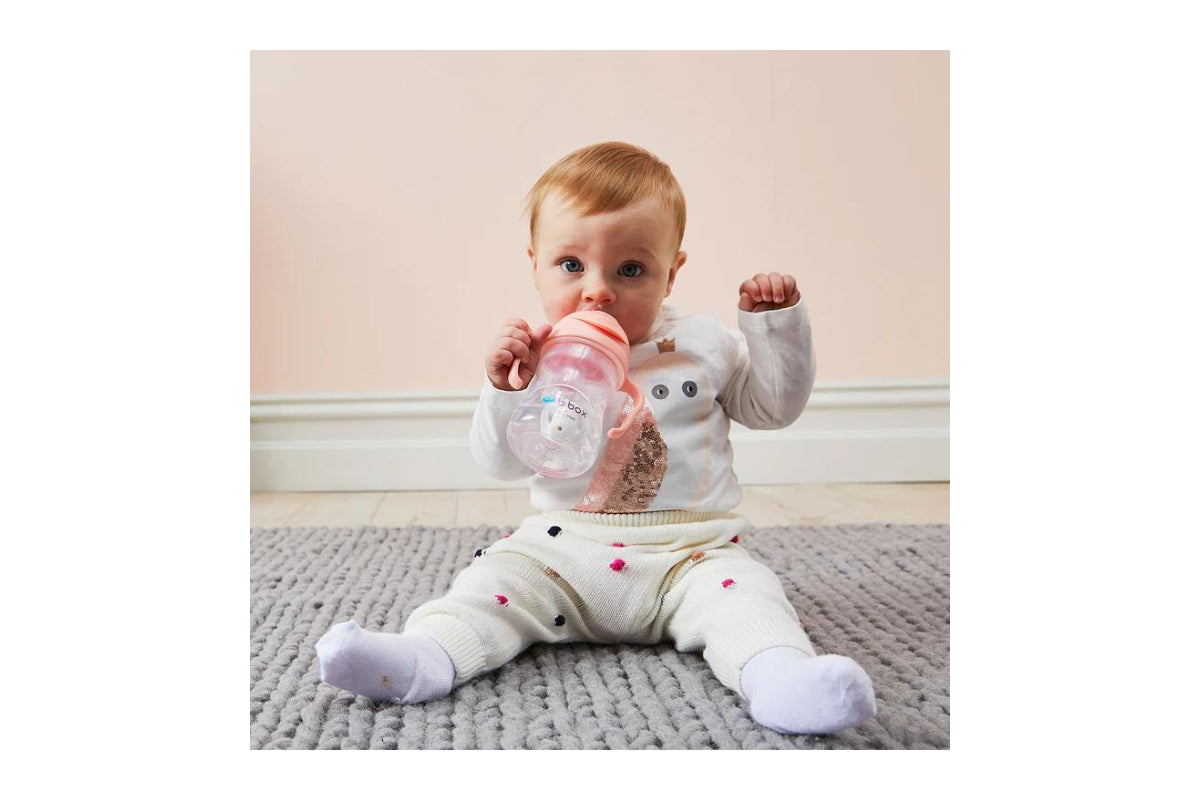 B.box Gelato Sippy Cup 240ml - Tutti Frutti