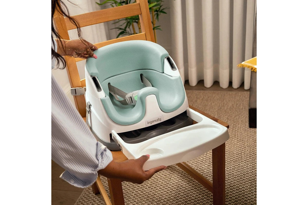 Ingenuity Base 2 in 1 Seat - Mist
