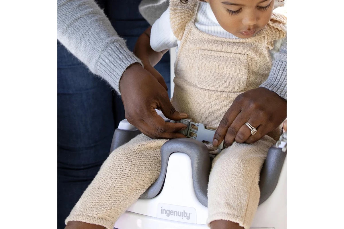 Ingenuity Base 2 in 1 Seat - Slate