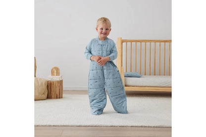 ErgoPouch Sleep Suit Bag TOG 2.5 Baby Toddler Cotton MULTIPLE SIZES - Dragonflies